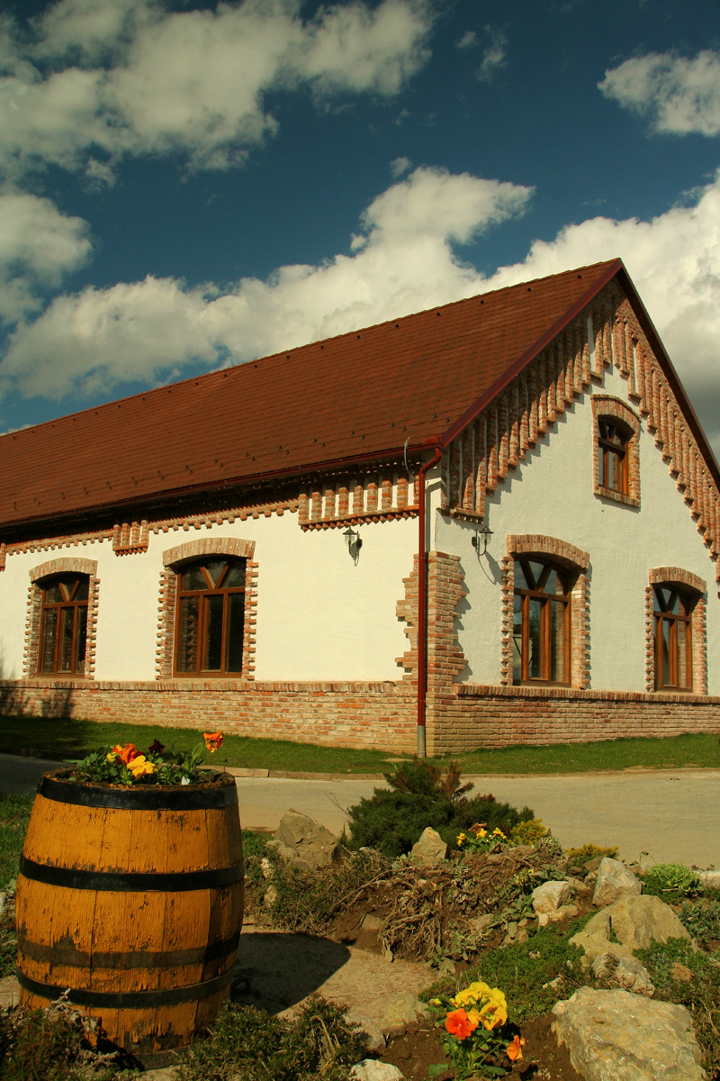 Hotel Višnjica