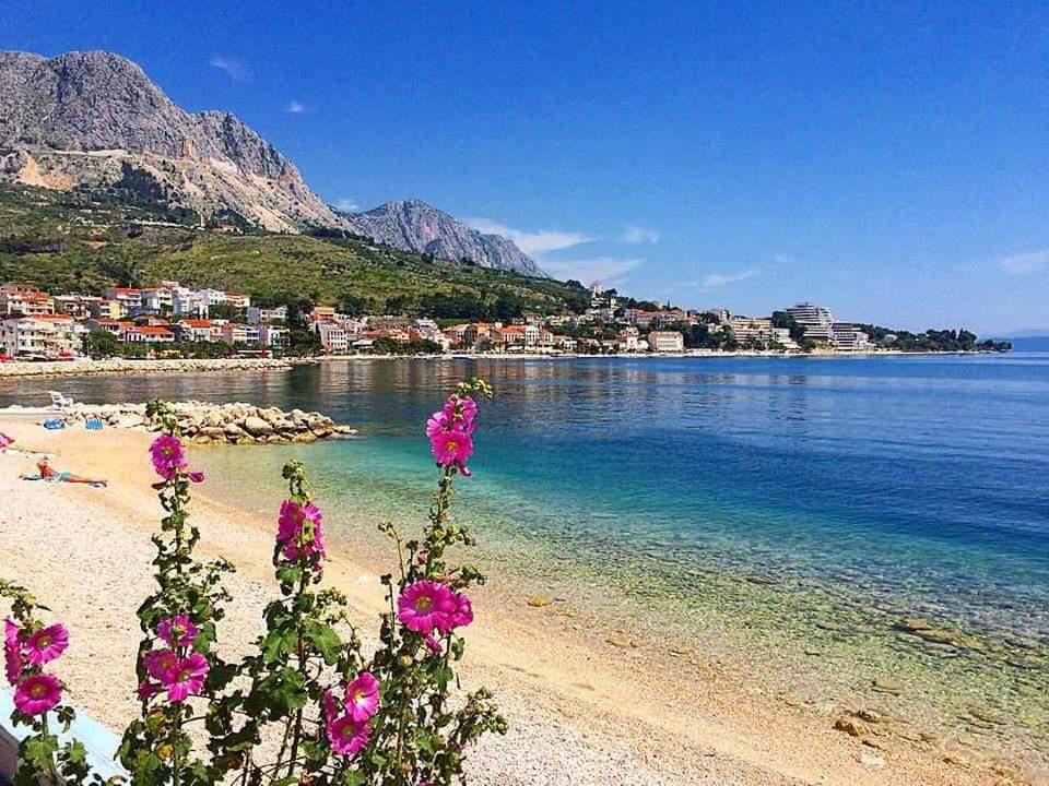 Apartment (2+0) Podgora (Podgora), Podgora, Kroatien